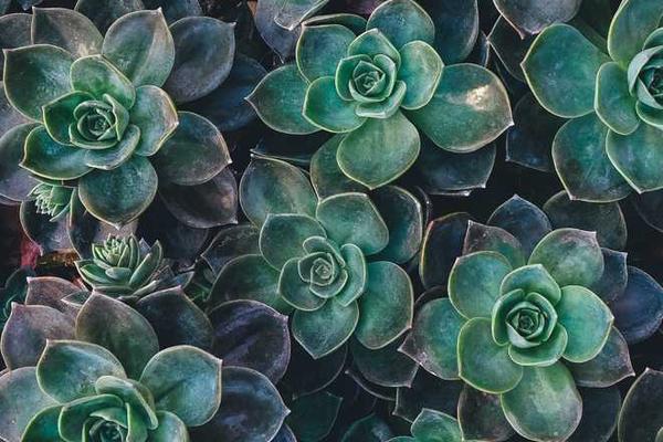 Fitness Routine